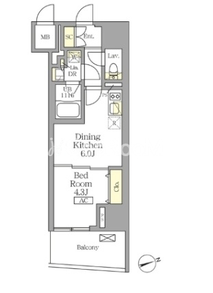 1DK