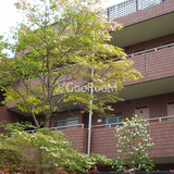 ガーデンパレス玉川