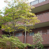 ガーデンパレス玉川