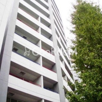 ラヴォーグ南青山