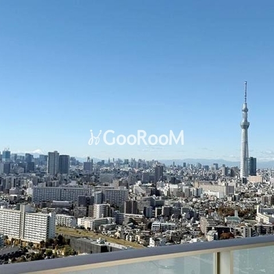 
						プラウドタワー平井 眺望