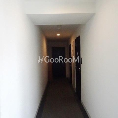 
						ンフォリア押上 内廊下