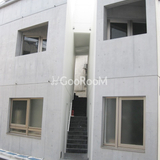 メイプル新中野