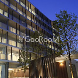 ローレルアイ白金