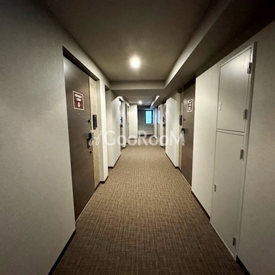 
						ザ・パークハビオ大森町 内廊下