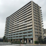 東京ベイリベロシティ