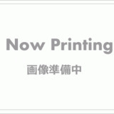 アイルプレミアム月島ドゥーエ