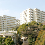 シティコート目黒