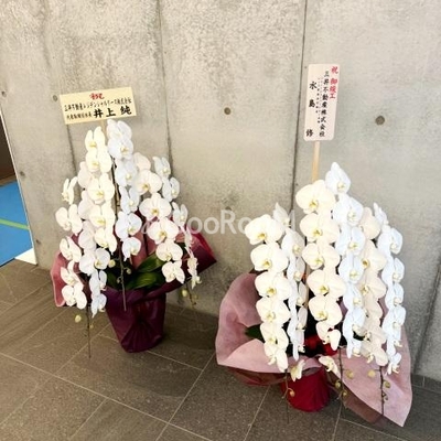 
						ソルテ千駄ヶ谷 外観・共用部写真16