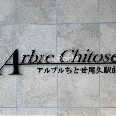 
						アルブルちとせ尾久駅前 物件名