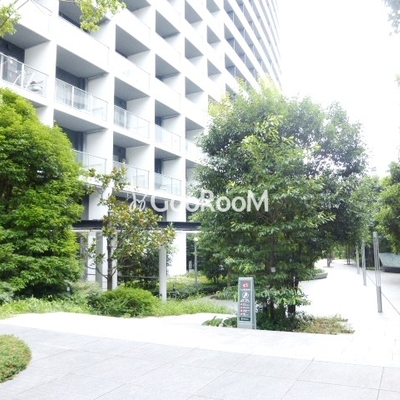 
						コンフォリア新宿イーストサイドタワー アプローチ