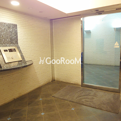 
						レジディア西新宿Ⅱ 入口