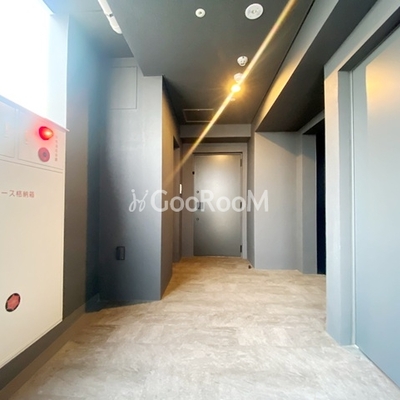 
						オープンブルーム入谷イースト 廊下