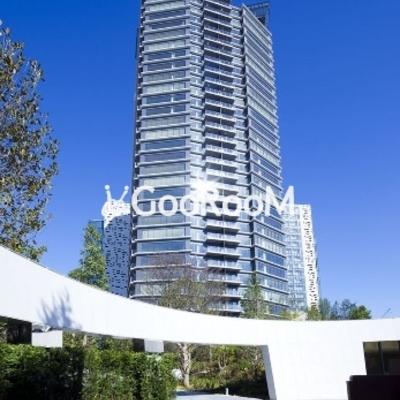 
						コンフォリア新宿イーストサイドタワー 外観写真