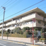 ヒラソル上野毛