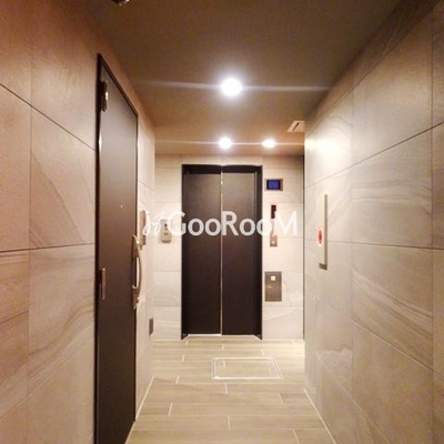 
						カメリア 外観・共用部 写真10