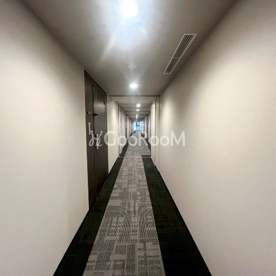 
						コンフォリア・リヴ文京護国寺 内廊下