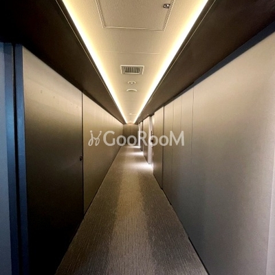 
						ザ・パークハビオ大森山王 廊下1