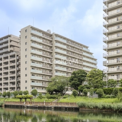 
						パークアクシス住吉ガーデンスクエアの外観