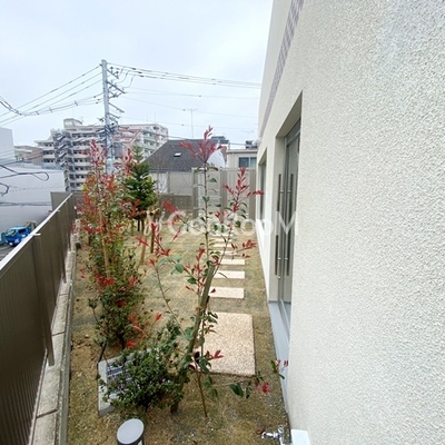 
						クラリティア横浜反町　植栽