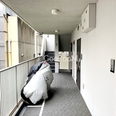 
						豊洲ステーションレジデンスの廊下
