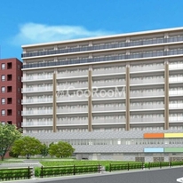 ステラテラス